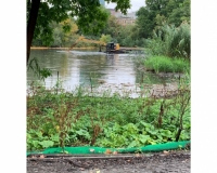 thumbs_mmoc-army-corps-October-2021-Muddy-River-90-Day-Info_100421_Page_13