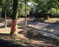 thumbs_photo-9