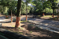 photo-9