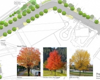 thumbs_MMOC-feb-27-2020-public-meeting-brookline-presentation-erin-gallentine-protecting-and-connecting-the-emerald-necklace_Page_36