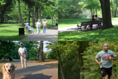 1_MMOC-feb-27-2020-public-meeting-brookline-presentation-erin-gallentine-protecting-and-connecting-the-emerald-necklace_Page_12