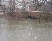 thumbs_the-muddy-river-rises-in-march-14-2010-just-below-the-netherlands-road-bridge-boston-mass-u-s-army-corps-of-engineers-photo